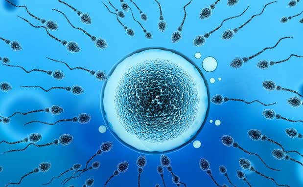 减低精子DNA碎片率做泰国试管婴儿