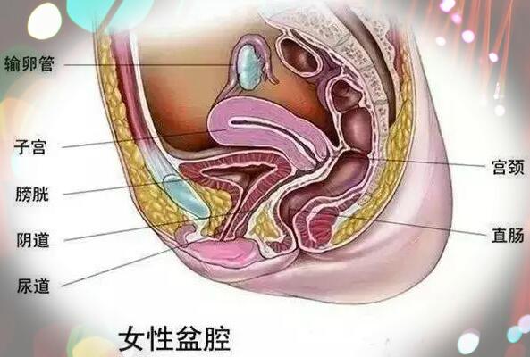 盆腔积液影响泰国试管移植胚胎的着床
