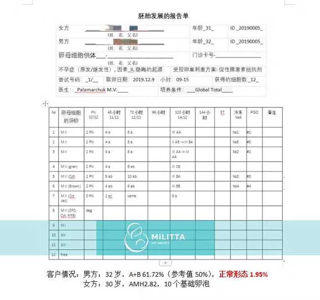 乌克兰丽塔医院自卵胚胎报告