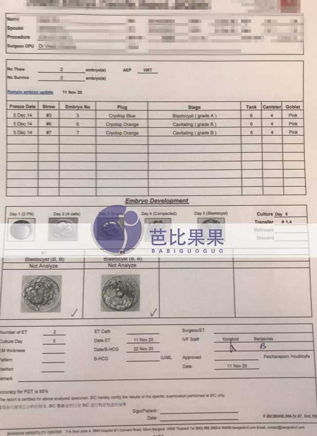 泰国试管代妈移植