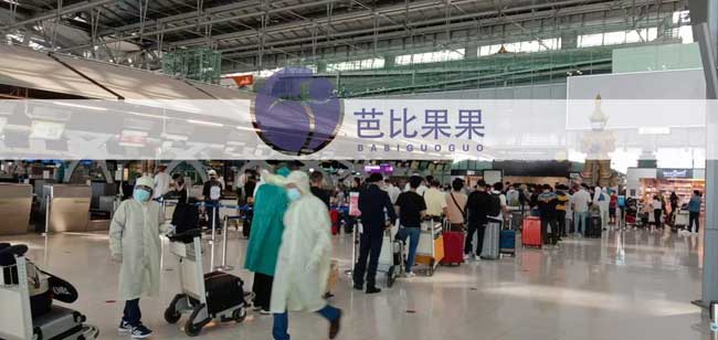 接泰国试管宝宝回国