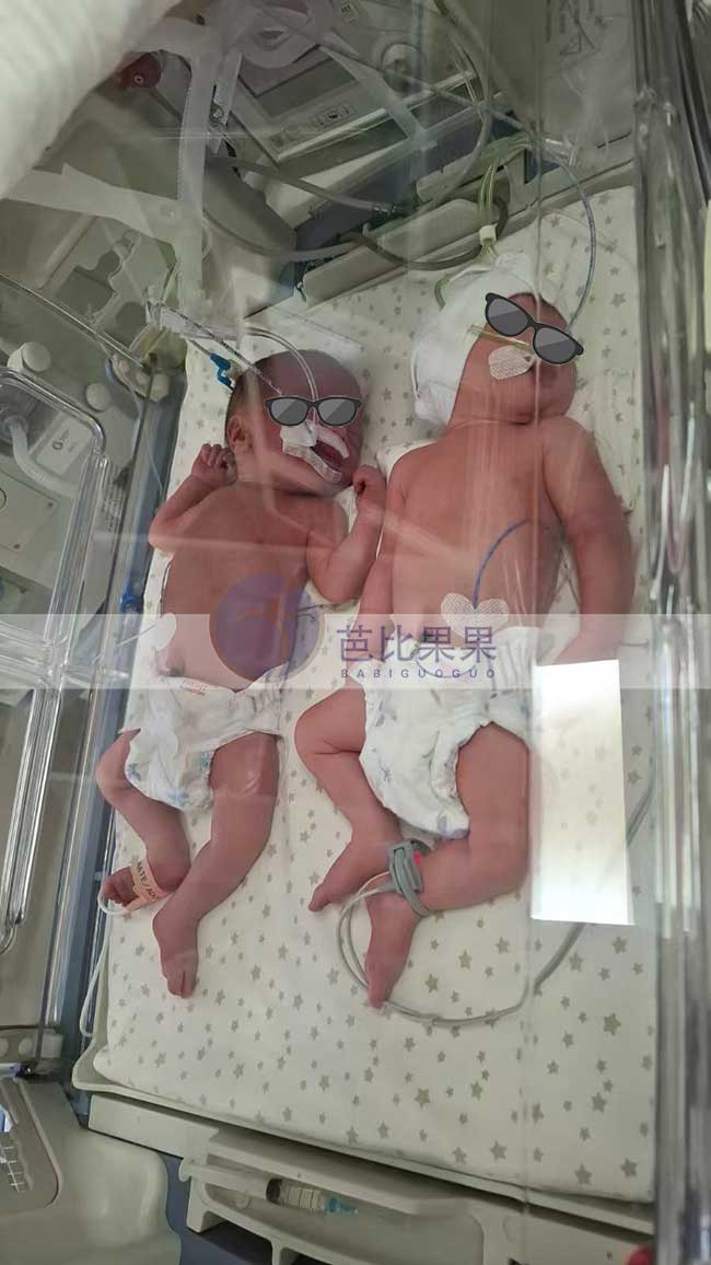 宁先生到格鲁吉亚试管的双胞胎男宝顺利出生