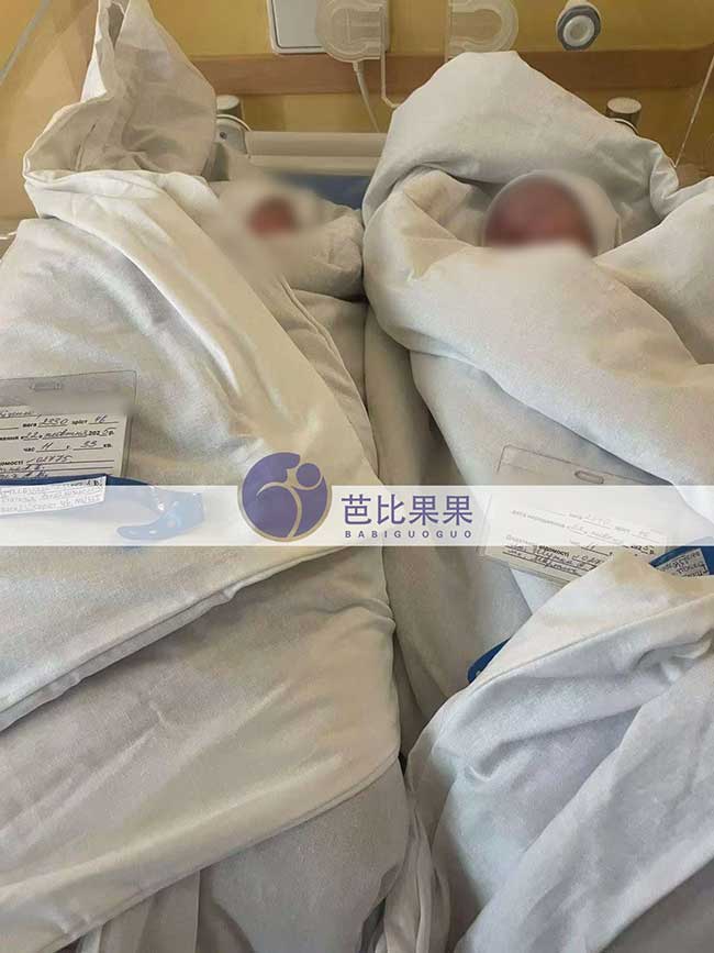 乌克兰试管双胞胎