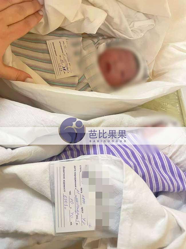 乌克兰试管宝宝出生