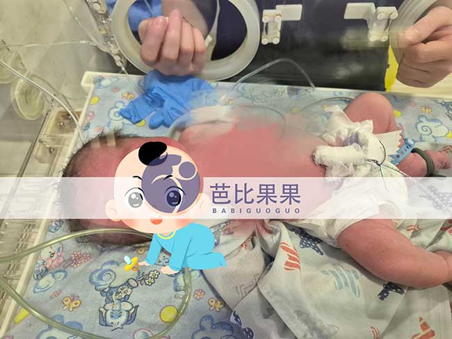 凌晨2点45分，广州吴女士一家在格鲁吉亚试管得到期待已久的男宝宝