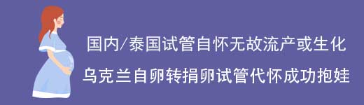 乌克兰自卵转捐卵试管代怀生子案例