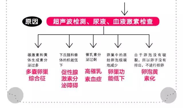 泰国试管婴儿方案
