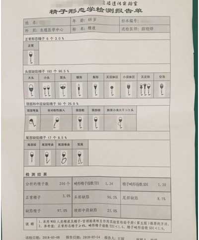  精子形态学碎片检测报告