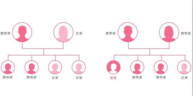地中海贫血遗传
