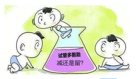 移植多胚胎