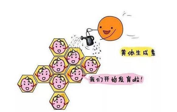 高龄女性生育的三个顾虑 做泰国试管婴儿能避免吗