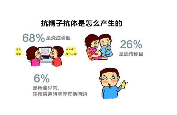 免疫性不育问题