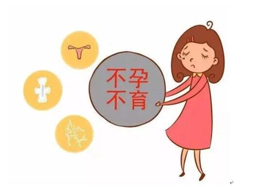 国内国外试管婴儿比拼