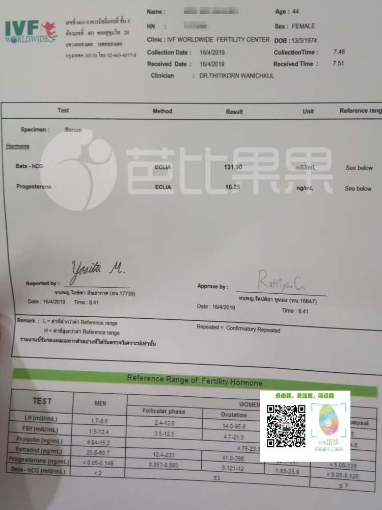 泰国捐卵试管