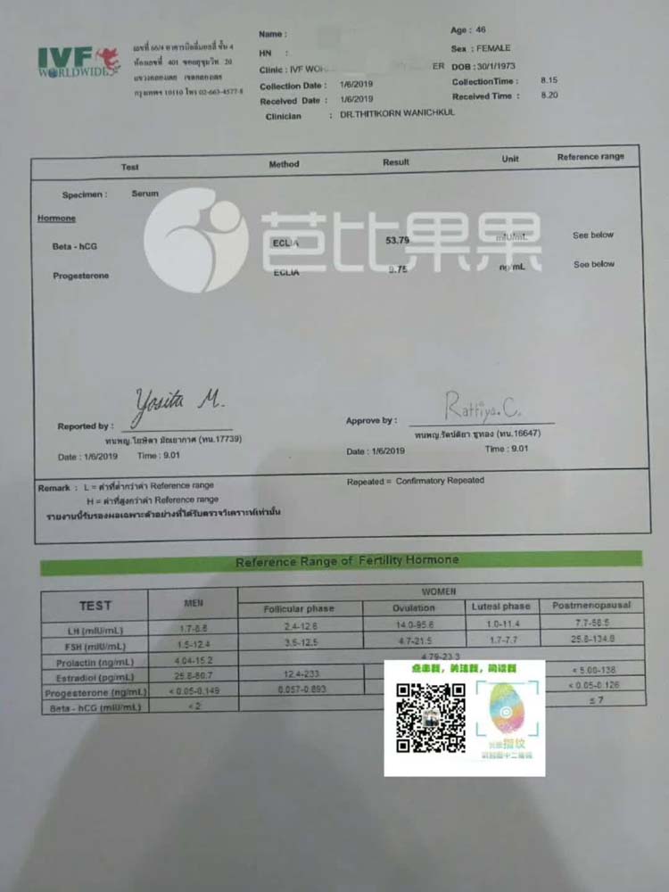 泰国全球生殖医院做OD试管