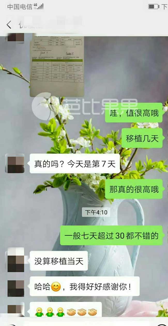 泰国捐卵试管验孕成功