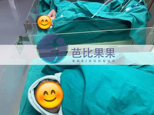 泰国试管双胞胎