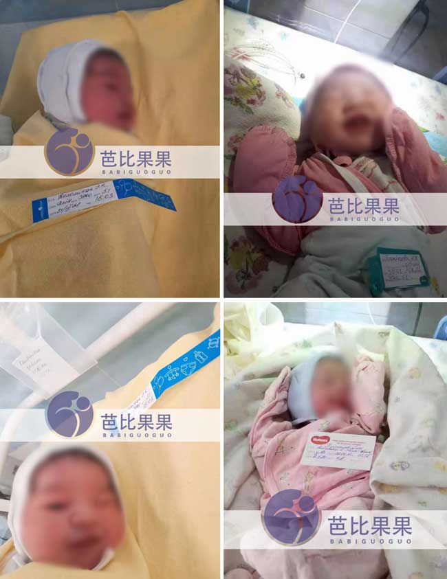 乌克兰代妈试管宝宝出生