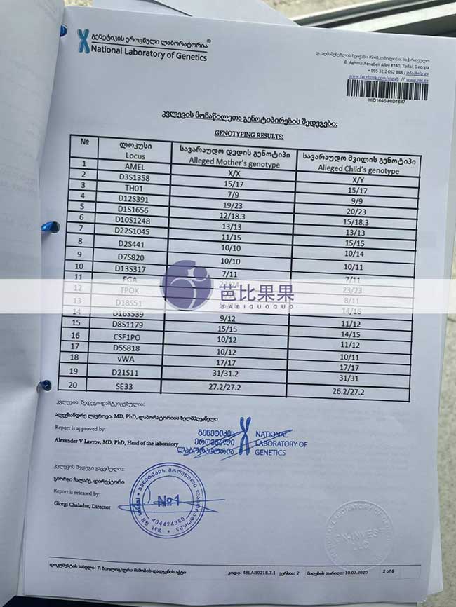 格鲁吉亚试管宝宝DNA报告