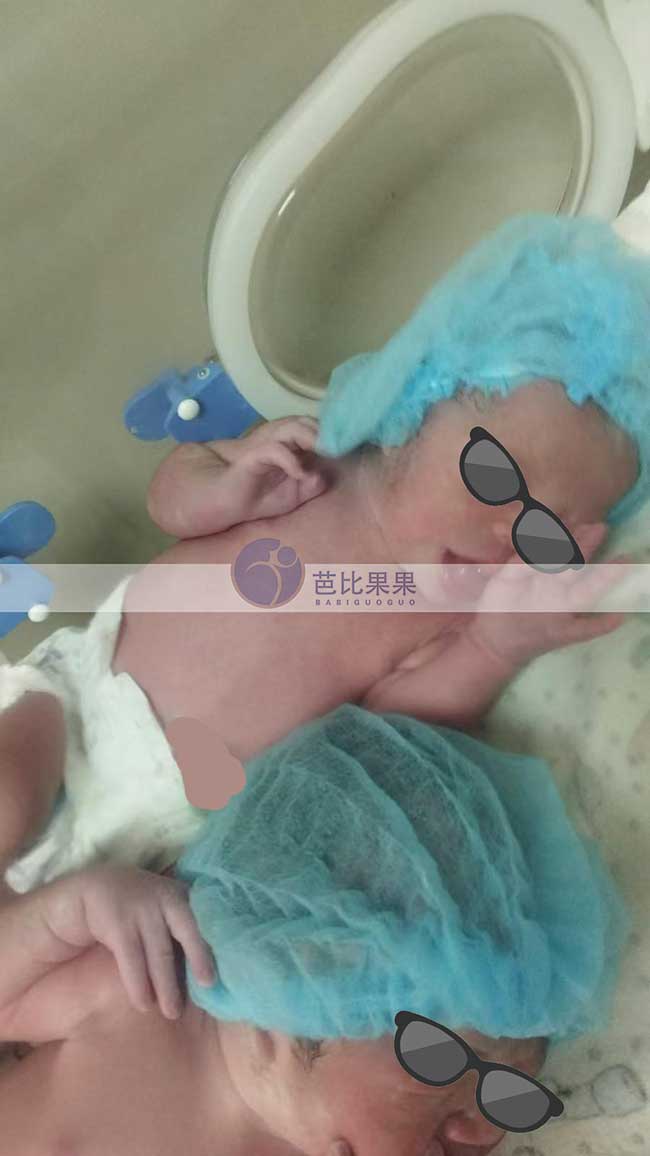 试管妈妈生下龙凤胎