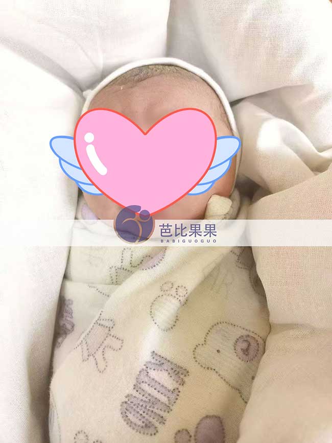 陕西徐先生在乌克兰试管的小公主足月出生