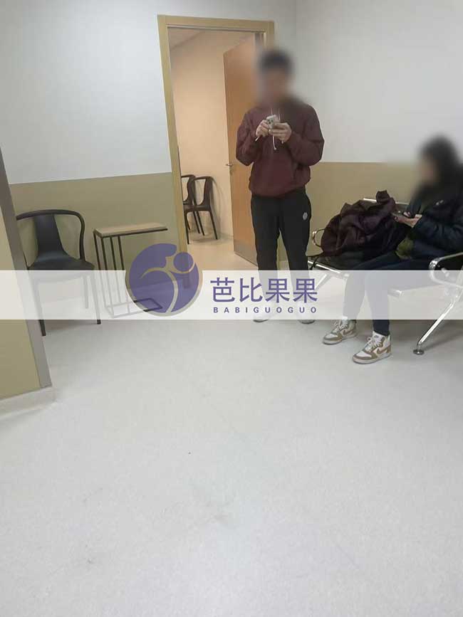 格鲁吉亚试管之旅