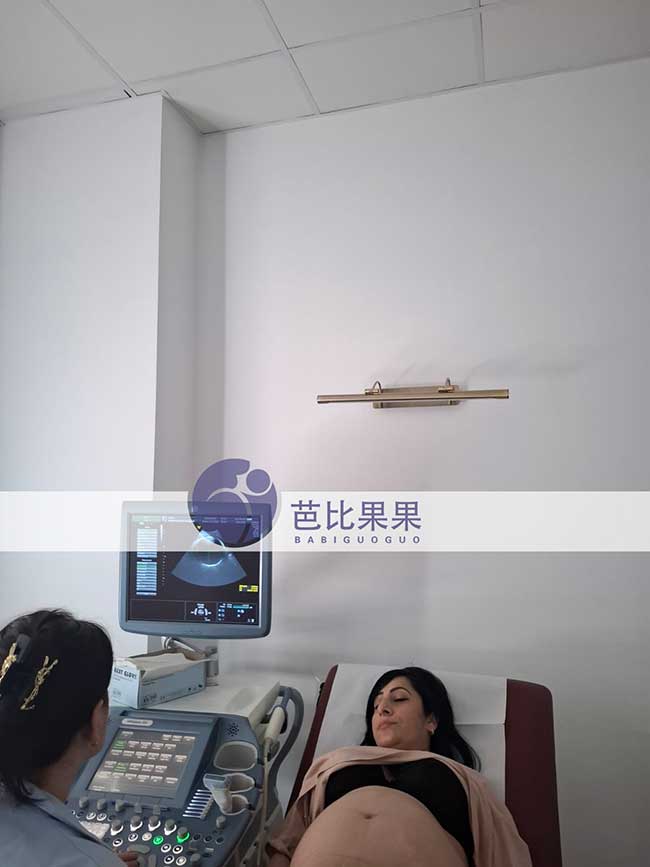 试管妈妈做B超