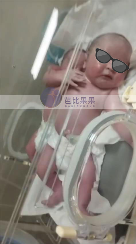 格鲁吉亚试管宝宝出生