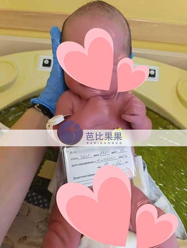 乌克兰试管宝宝