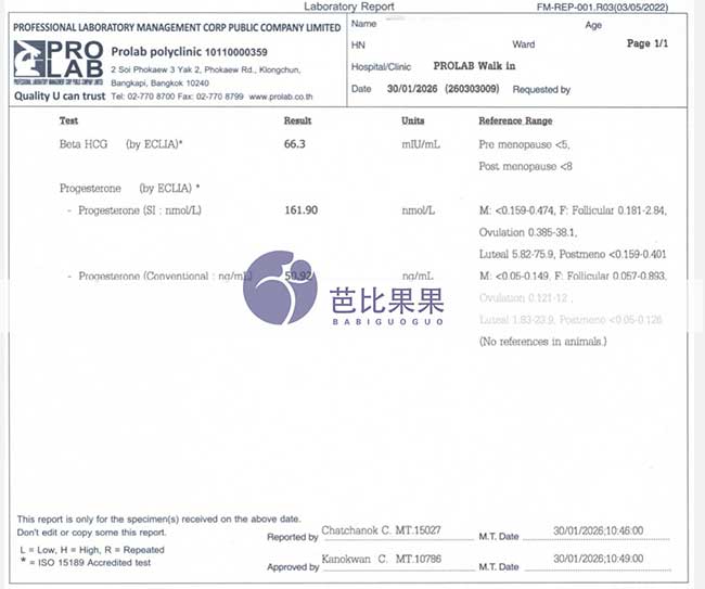 泰国试管验孕成功