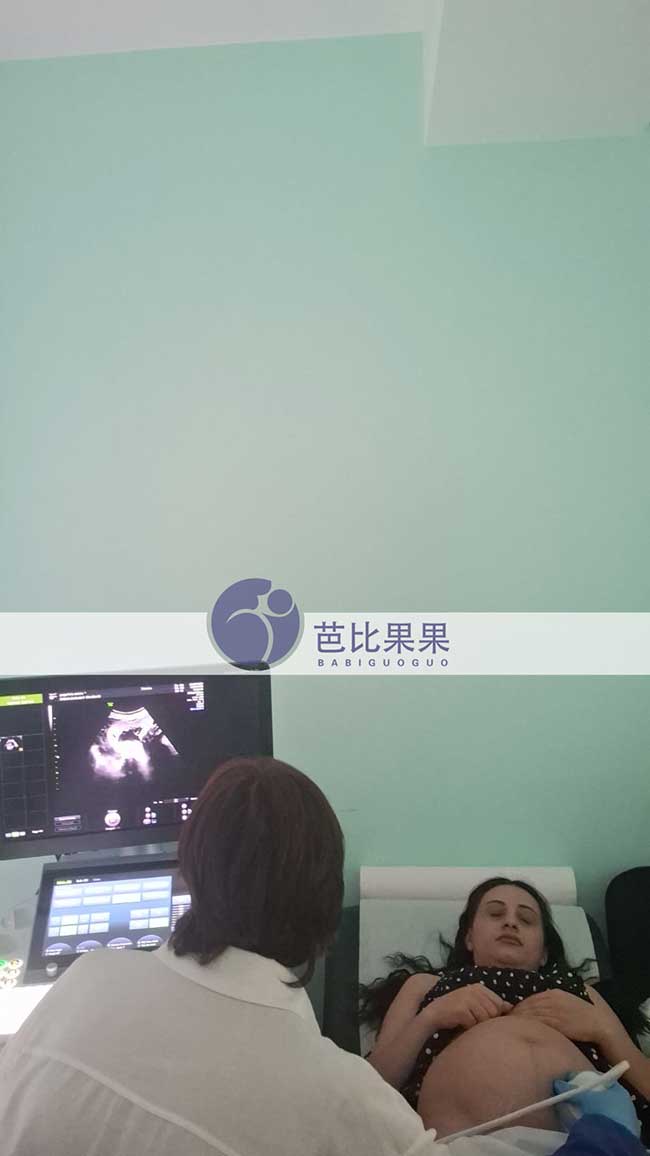 试管妈妈做B超