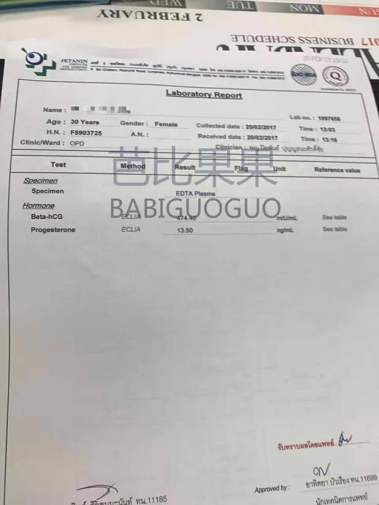 　L美女的B超报告已经确定着床了双胞胎