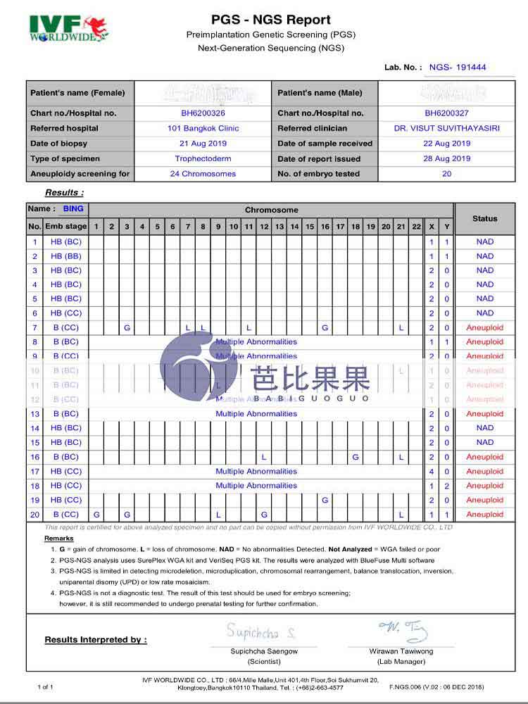 泰国试管胚胎NGS筛查报告
