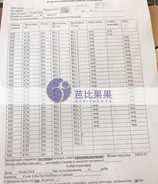 乌克兰自卵取卵卵子达32颗,授精养囊成26个胚胎