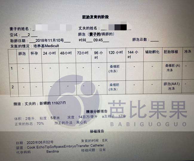 乌克兰试管移植冻胚时的报告