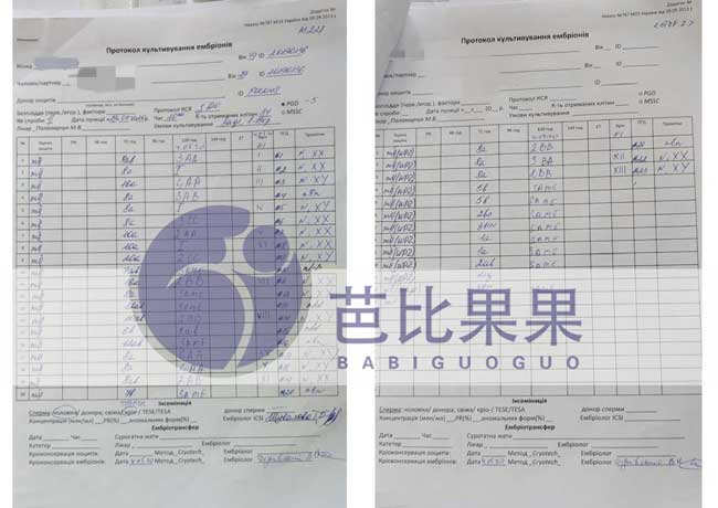 乌克兰捐卵胚胎报告