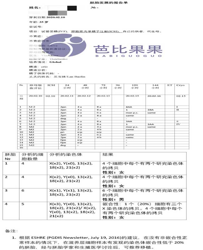 自卵试管取卵报告翻译件+PGD筛查胚胎报告