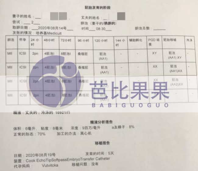 乌克兰捐卵移植报告翻译件