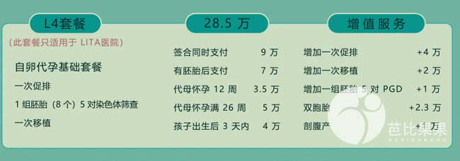 乌克兰代理孕母试管生子的费用低