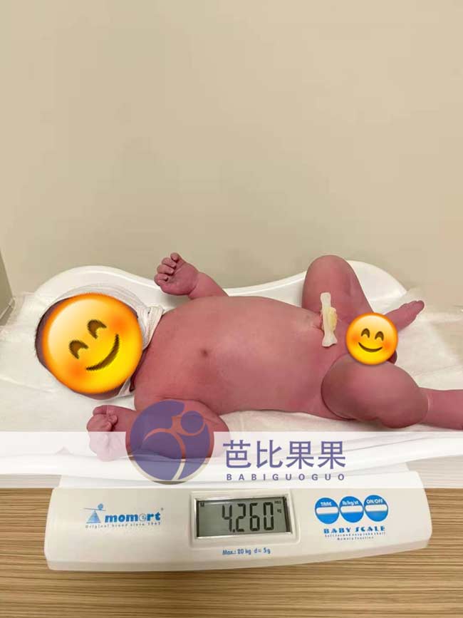 乌克兰试管宝宝