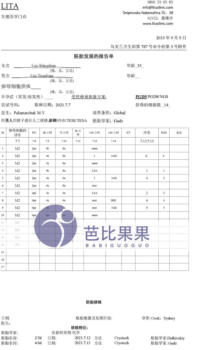 胚胎培养报告