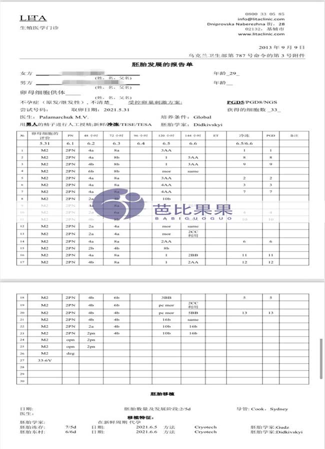 胚胎培养报告