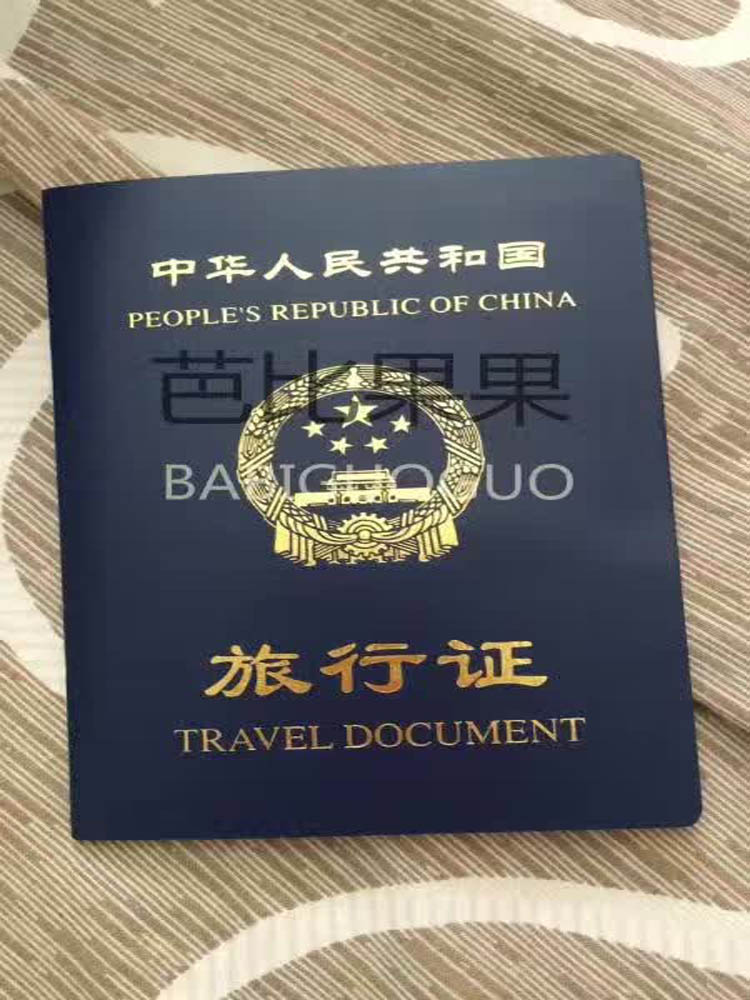乌克兰漂亮的闺女回国旅行证也办好啦