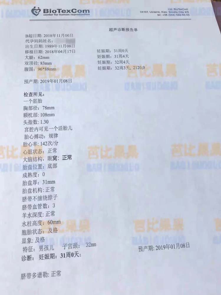 P先生的乌克兰爱心妈妈孕31周检查中文B超好孕报告