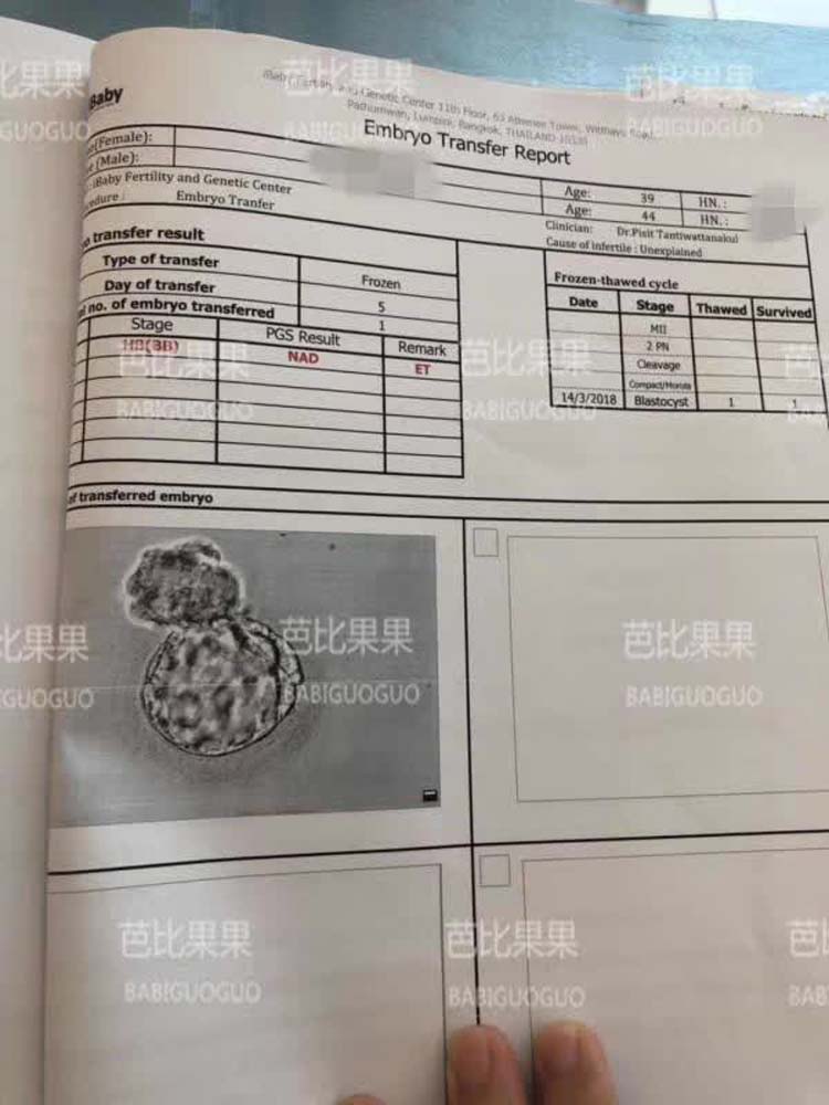 爱心代妈妈顺利移植