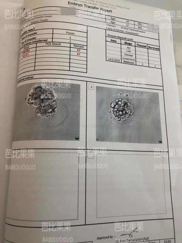 爱心代妈妈顺利移植
