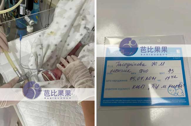 乌克兰试管宝宝