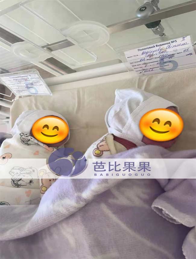 乌克兰试管双胞胎