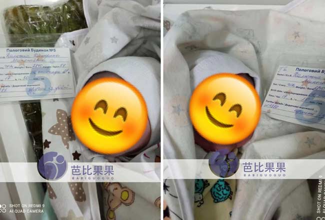 乌克兰试管双胞胎