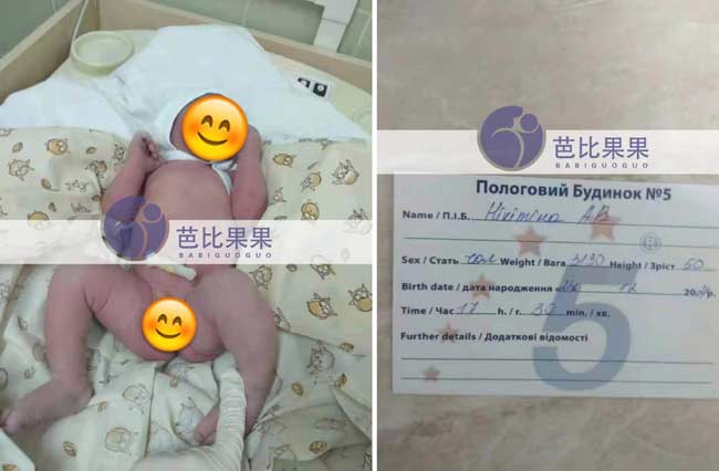乌克兰试管宝宝